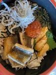 image1.jpeg