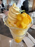 IMG_7930.jpeg