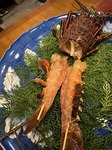 IMG_9284.jpeg