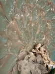 IMG_9703.jpeg