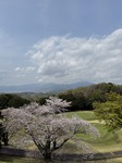 IMG_0069.jpeg