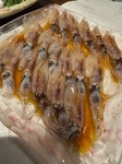 IMG_0095.jpeg