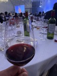 IMG_0317.jpeg