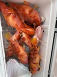 IMG_0907.jpeg