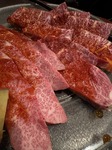 IMG_1265.jpeg