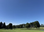 IMG_1351.jpeg