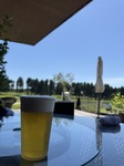 IMG_1350.jpeg