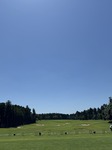 IMG_1348.jpeg