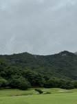 IMG_1389.jpeg