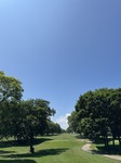 IMG_1584.jpeg