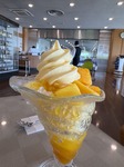 IMG_1730.jpeg