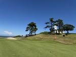 IMG_1768.jpeg