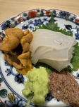 IMG_1966.jpeg